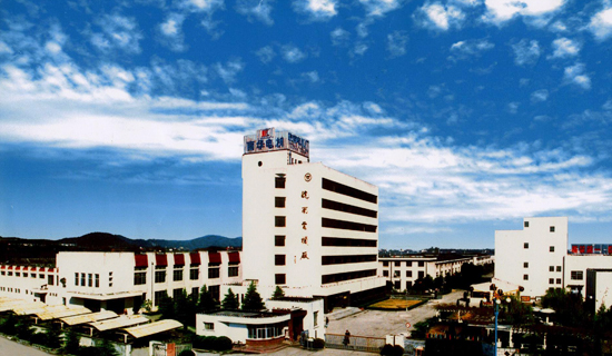 好色先生视频污公司外景