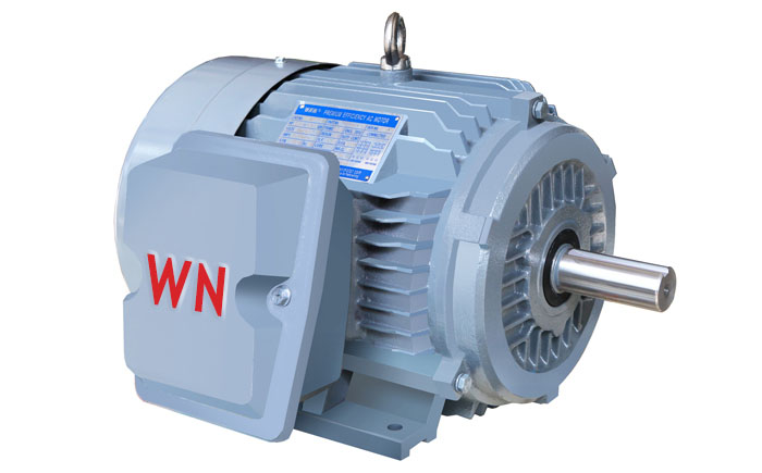 NE係列(liè)高效(xiào)高(gāo)轉矩三相(xiàng)異步電動機 NE係列高效高轉矩三相異步電動機