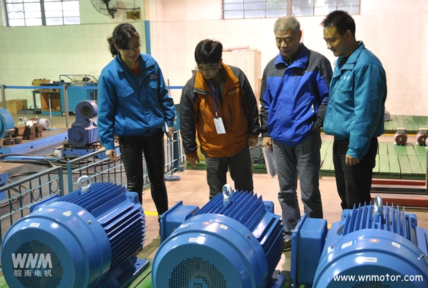 高效電動機(jī) 高效電動機