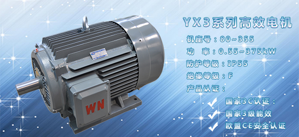 高效節能電機 高效節能電機