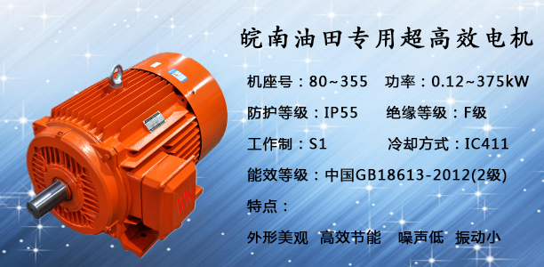 油田電機|抽(chōu)油機電機(jī) 油田電機|抽油機電機