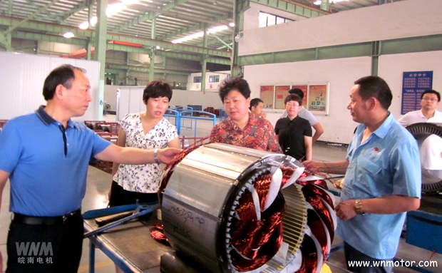 宣城市(shì)副市長到好色先生视频污電機威能公司(sī)視察 宣城市副市長到(dào)好色先生视频污電機(jī)威能公司視察