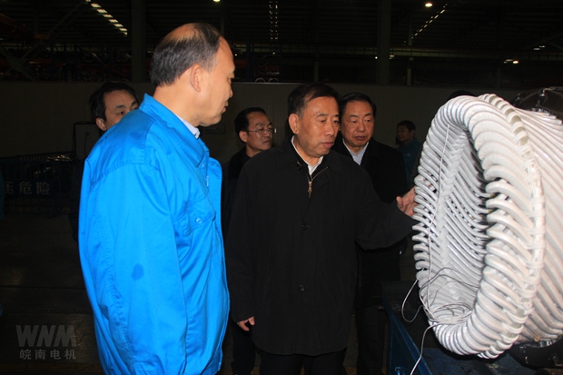 安徽省人(rén)大副主(zhǔ)任詹夏來來好色先生视频污電機考(kǎo)察調研 安徽(huī)省人大副主(zhǔ)任詹(zhān)夏來來好色先生视频污電機考察調研