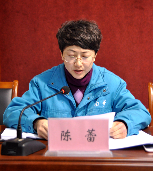 陳蕾作《關於轉增股(gǔ)本(běn)的議案報告》 陳蕾作《關於轉增股本的(de)議案報告》