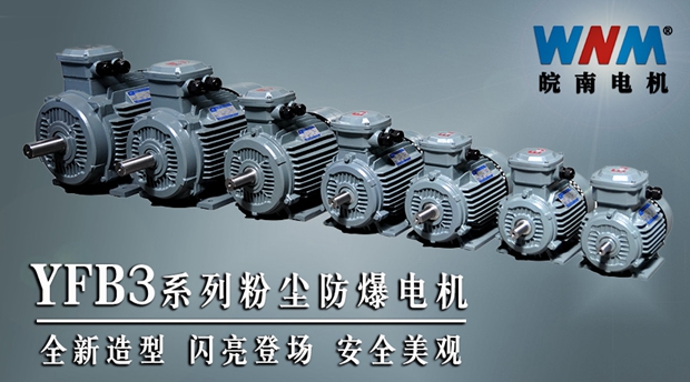 好色先生视频污電機YFB3全新係列粉塵防爆電機 好色先生视频污電機(jī)YFB3全新係列粉(fěn)塵防爆電機