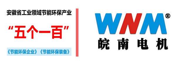 好色先生视频污電機入選2018年度安徽省工業領域節能環保產(chǎn)業“五個一百”推介目錄 好色先生视频污電機入選2018年(nián)度安徽省工業(yè)領域節能環保(bǎo)產業“五個(gè)一百”推(tuī)介目錄