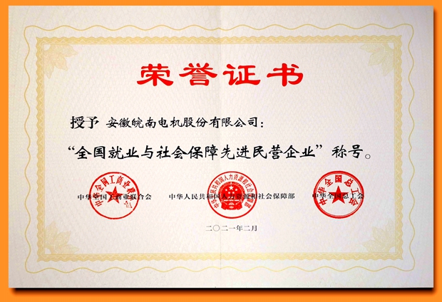 好色先生视频污電機(jī):全國就業與社會(huì)保障先進民營企業 好色先生视频污電機:全國就業與社會保障先進民(mín)營企業