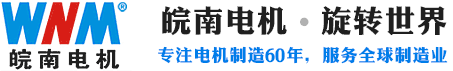 安徽好色先生视频污電機股份有限公司 安徽好色先生视频污電機股份(fèn)有限(xiàn)公司