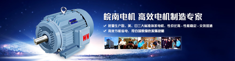 電機生產廠(chǎng)家 電機生產廠家