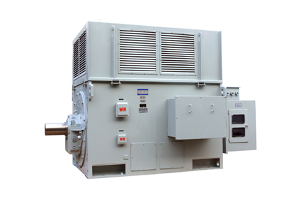 YR係列高壓三相異步電動(dòng)機 YR係列高壓三相異步電動機
