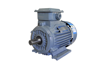 YX3係列(liè)超高效三相異步電動機(停(tíng)產) YX3係列超高效(xiào)三相(xiàng)異步電動機(jī)(停產)