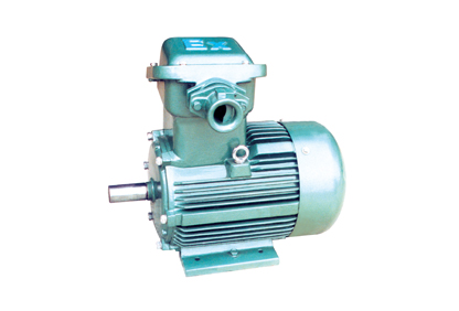 YFB係列粉塵防(fáng)爆(bào)型三相異步電動機(jī)(已停產) YFB係列粉塵防爆型三相異步電動機(已停產)