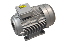 YYVF2係列(liè)新能源汽車助力轉向泵電機 YYVF2係列新能源汽車助力轉(zhuǎn)向泵電(diàn)機