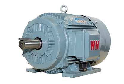 TYCP係列三相變頻驅動永（yǒng）磁同步電動機